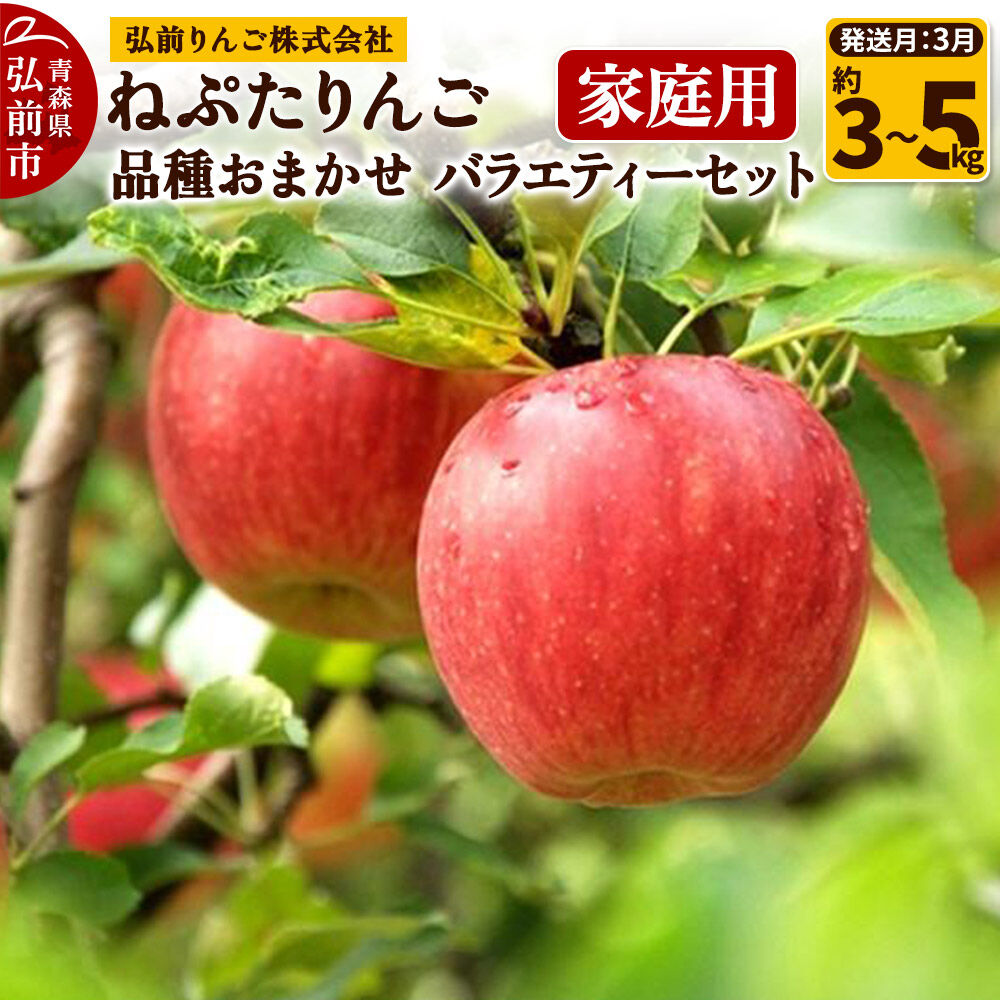 【ふるさと納税】りんご【27年3月クール便発送】ねぷたりんご バラエティーセット【家庭用】選べる約 3kg／5kg【品種おまかせ】先行受付 家庭用 青森県 弘前市 果物 フルーツ 林檎 リンゴ くだもの 不揃い 規格外 [先行予約 産地直送 詰め合わせ]