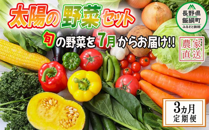 野菜 太陽の野菜セット 【 7月から 3か月 定期便 】 季節ごと旬の野菜 配送先は本州限定 2026年7月中旬頃から2026年9月下旬頃まで順次発送予定 ビオ農産物 太陽の恵み ( 化学肥料 除草剤 不使用 ) 長野県 飯綱町 [1040]