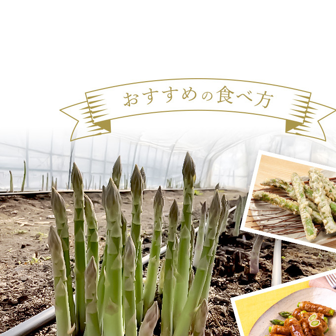 先行予約 【 2026年 発送 ！】北海道 上富良野産 ホワイトアスパラガス 3L サイズ 800g アスパラ ホワイトアスパラ 上富良野町 令和6年発送 先行受付 野菜 やさい _イメージ4