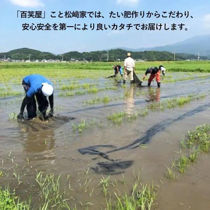 【 栽培期間中農薬不使用 】米 旋風 ヒノヒカリ 10kg（ 5kg×2袋 ）《糸島》【百笑屋】 [ABF004] 米 お米 白米 精米 ひのひかり