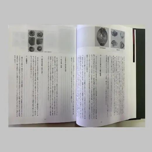 町史 第三巻 歴史編 与那国島 C005 郷土史 資料 地理 地名 調査資料 研究資料 史料