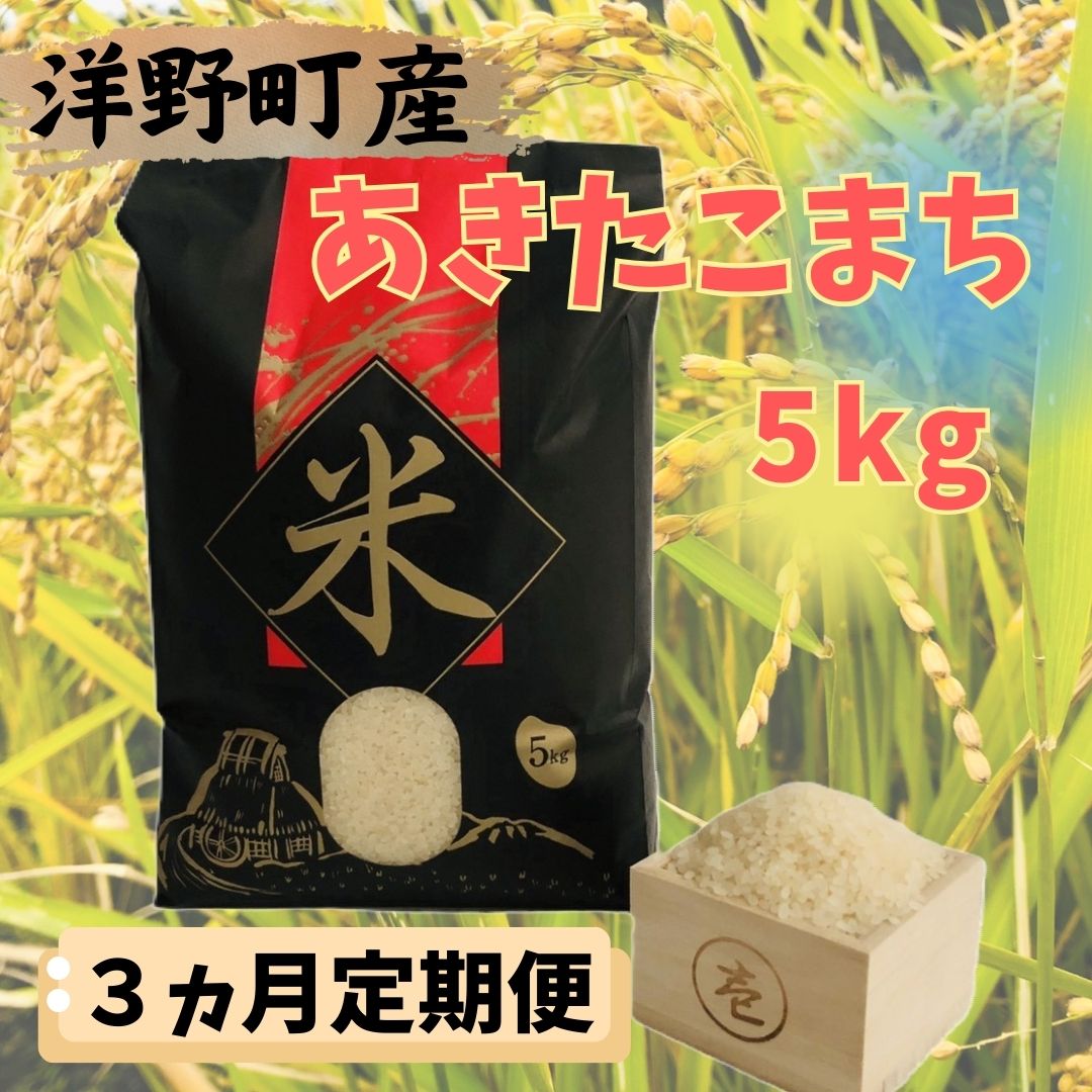 【ふるさと納税】【3ヵ月定期便】令和7年産洋野町産あきたこまち5kg×3回