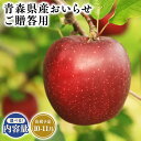 【ふるさと納税】≪内容量が選べる!≫青森県産 贈答用 おいらせ 3kg 5kg 10kg【青森県 平川市 そと川りんご園】10月〜11月発送 贈答 青森 青森県産 平川 りんご リンゴ 林檎 くだもの 果物 フルーツ レビューキャンペーン