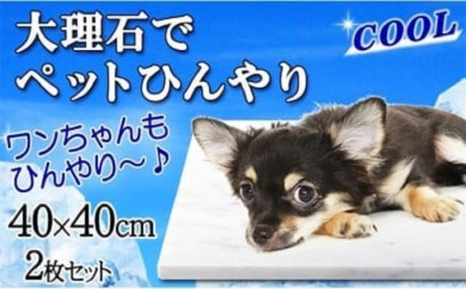 
                  白大理石ペットひんやりボード 40×40cm ２枚セット
                