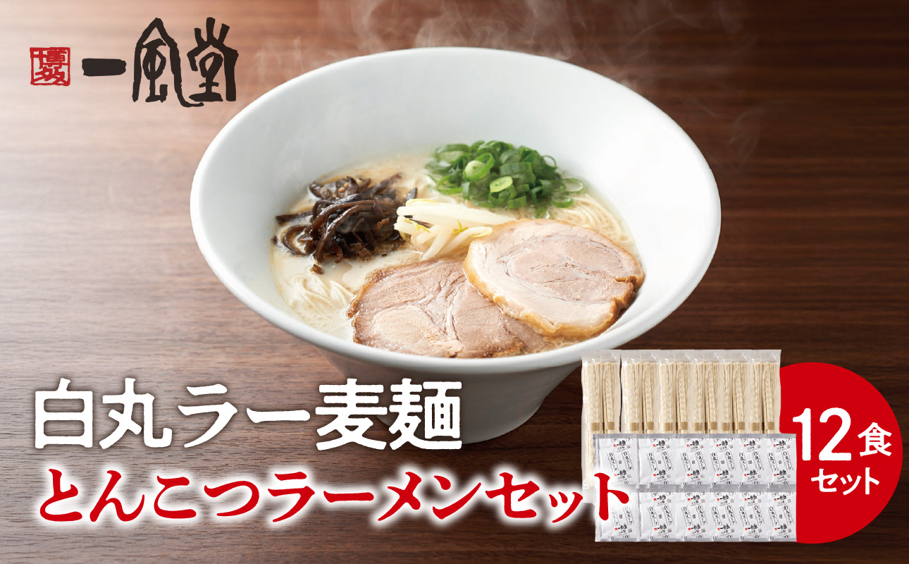 一風堂白丸ラー麦麺セット（12食）  ラーメン 博多 福岡 とんこつ ラー麦 麺 セット