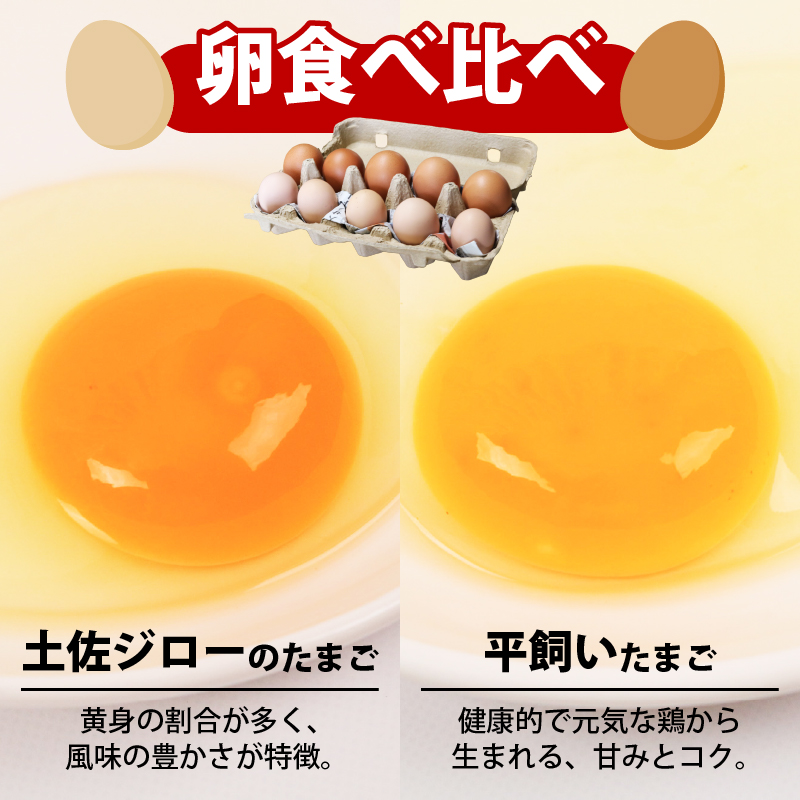 土佐ジローの卵と平飼い卵 セット 各5個(10個×1パック) 合計10個 | たまごのおくだ 新鮮 土佐ジロー 平飼い 卵 たまご 10個 鶏卵 卵黄 エッグ たまごかけ ご飯 玉子 タマゴ 玉子焼き