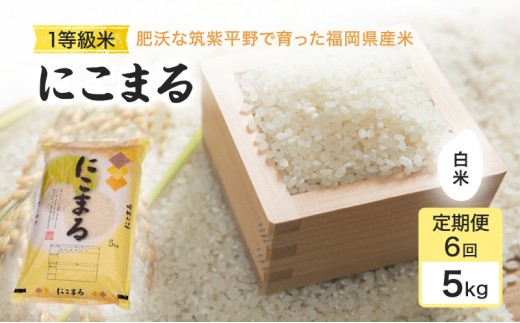 
            定期便 6回 米 1粒からこだわる1等級米 にこまる 白米(5kg×6回） お米 コメ お楽しみ 6ヶ月 令和7年度産
          