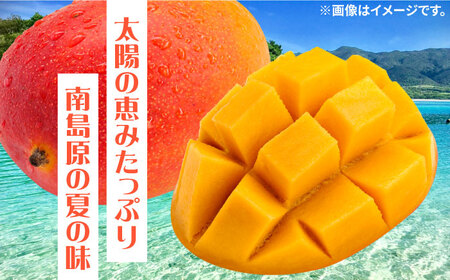 南島原産完熟マンゴー２玉 / 南島原市 / ながいけ[SCH064]