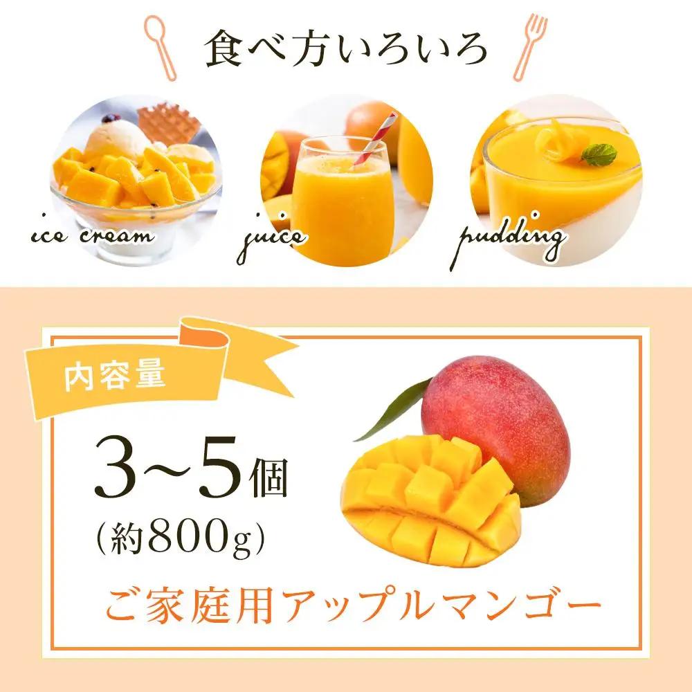 【先行予約 2027年発送】家庭用マンゴー 約800g アップルマンゴー