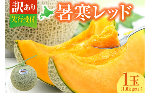【令和8年産先行予約】【訳あり】北海道メロン 暑寒レッド 1玉 (1.6kg以上×1箱)《2026年9月より発送予定》ワケあり 家庭用 赤肉メロン わけあり 規格外 傷 不揃い くだもの フルーツ メロン めろん 9月 北海道 雨竜町