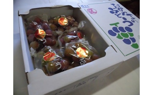 
                  【2026年発送】 安芸クイーン ぶどう フルーツ 果物 | 2.0kg 4～5房 | 送料無料 産地直送
                