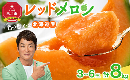 【先行予約】香り豊かな 北海道レッドメロン 8kg（3玉～6玉）(2026年7月下旬から発送開始) | メロン _05413
