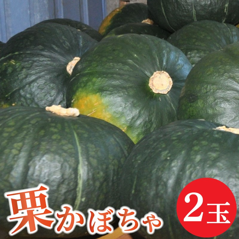 
                  かぼちゃ 2玉 品種おまかせ 南瓜 夏野菜 こだわり栽培 煮物 料理 スイーツ おせち ハロウィン 阿波市 徳島県 楠農園
                