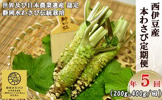 
            【選べる内容量！わさびの定期便】世界農業遺産認定の本わさび（200g or 400g）を年5回お届け！ わさび丼 採れたて 新鮮 冷蔵 西伊豆 伊豆 ギフト
          