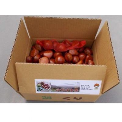 ふるさと納税 恵那市 おやすみ栗(マロン) えな笠置山栗園産日本栗 (2Lサイズ)1kg詰め |  | 01