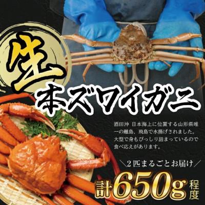 ふるさと納税 酒田市 訳あり 酒田沖 生・本ズワイガニ2匹 650g程度(1匹1〜2本程度足取れ)