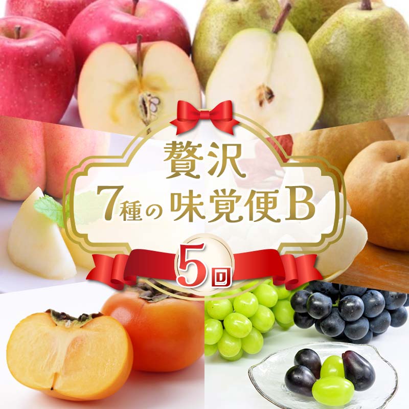 【ふるさと納税】 【2026年先行予約】贅沢7種の味覚便B（5回定期便）桃 もも シャインマスカット ぶどう りんご 柿 ラ・フランス 梨 果物 フルーツ 山形県 FSY-2637