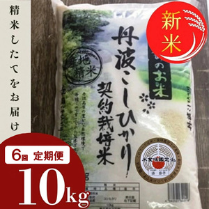 コシヒカリ 10kg×6回 米定期便 米定期便 米定期便 米定期便 米定期便