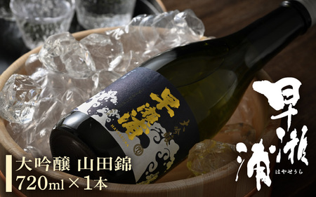早瀬浦 大吟醸 山田錦 720ml × 1本 【入手困難 日本酒 就職祝い 転職祝い ハレの日 ギフト プレゼント お祝い お返し お礼 お中元 お歳暮 父の日 敬老の日 】[m06-b008]