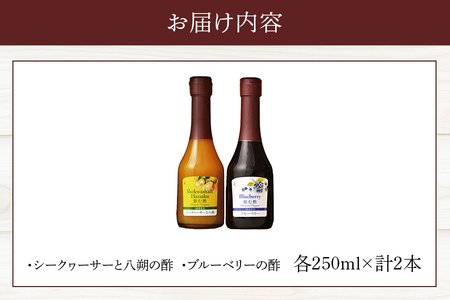 オークスハート 飲む酢 デザートビネガー250ml 2本セット フルーツビネガー 果実酢 ブルーベリー シークヮーサーと八朔 詰合せ 内堀醸造