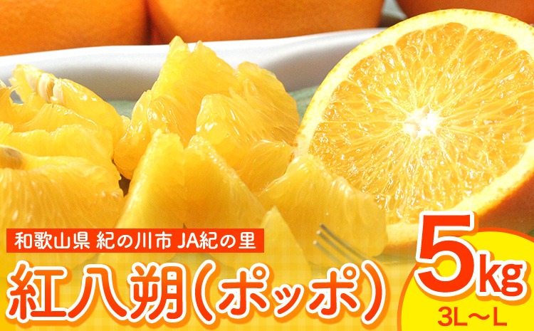 【先行予約】紅八朔(ポッポ) 5kg(3L-L) JAわかやま 紀の里地域本部 《2026年3月中旬-3月末頃出荷》 和歌山県 紀の川市 果物 フルーツ 柑橘 はっさく---wsk_jak19_3c3m_24_11000_5kg---