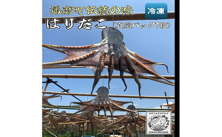 播磨町産 はりだこ(ほしだこ)１匹 タコ 海鮮 魚介類 瀬戸内 兵庫県 播磨町
