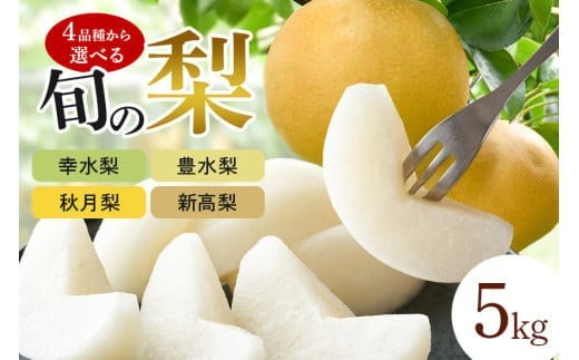 
                  幸水梨 豊水梨 秋月梨 新高梨 選べる4品種 箱込約 5kg （JA新ひたち野）梨 品種 幸水 なし ナシ 果物 フルーツ 4L 3L 2L Lサイズ 5キロ 夏 秋 旬 産地直送 農家直送 産直 国産 くだもの 甘い 糖度 茨城県産 茨城県 石岡市
                