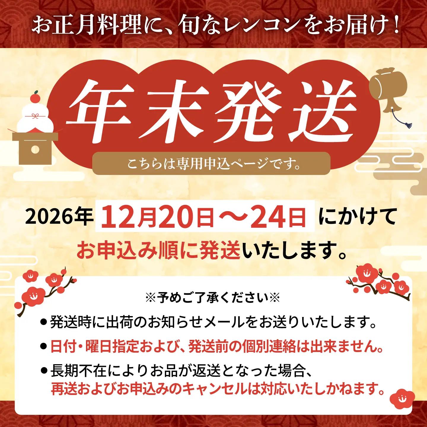 【先行予約 年末発送】れんこん 約3kg れんこん