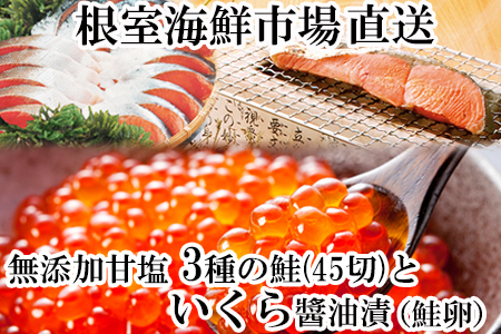 無添加天然甘塩鮭3種切身各15切、いくら醤油漬け(鮭卵)70g×2P B-14045