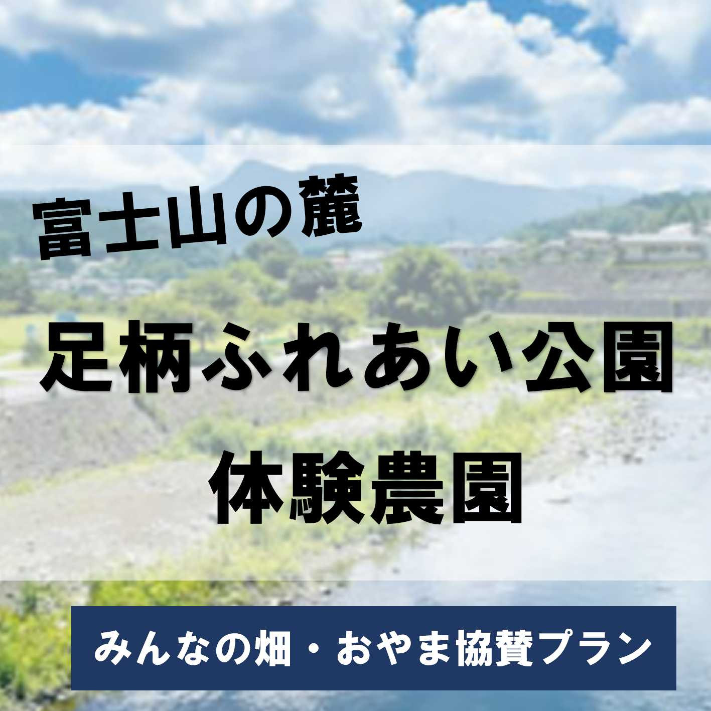 
            足柄ふれあい公園 体験農園 みんなの畑・おやま協賛プラン【 農園 体験 公園 利用券 チケット 体験型 静岡県 小山町 】
          
