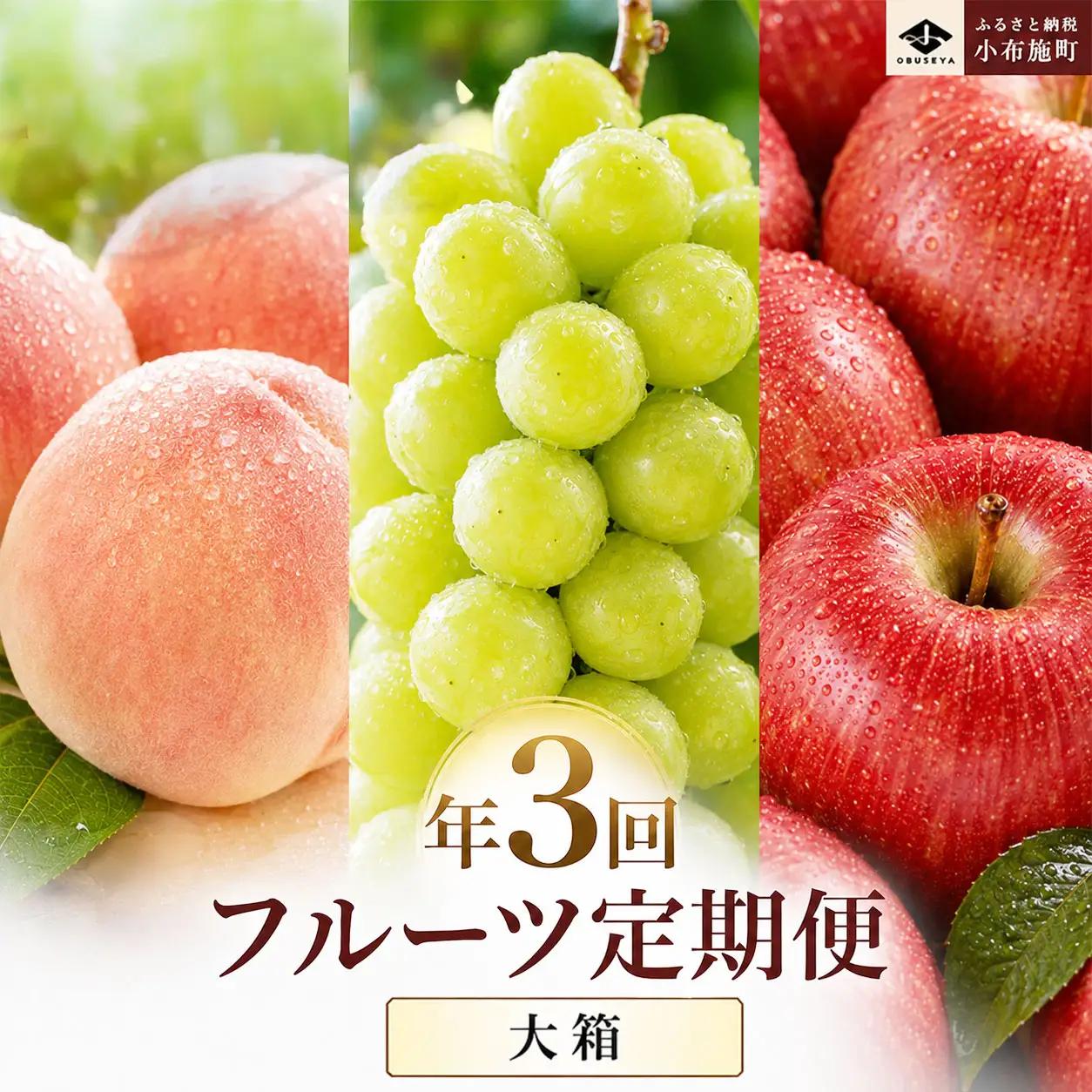 ［3回定期便］ 信州フルーツ3回コース ［小布施屋］ 定期便 先行予約 フルーツ 数量限定 白桃 シャインマスカット ぶどう りんご お楽しみ 3回お届け 長野県産 信州産 令和8年産 【2026年7月～12月発送】[M-2]
