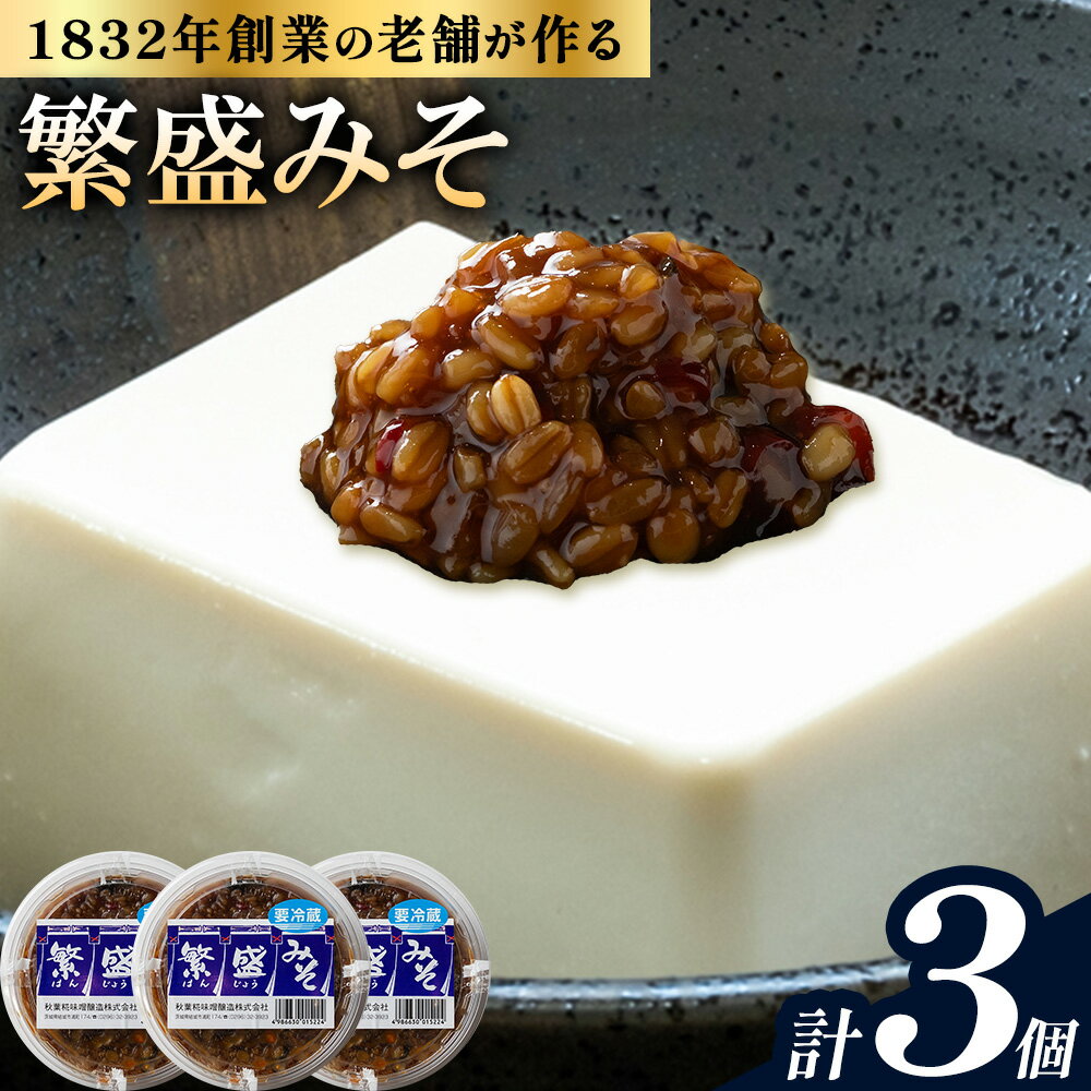 【ふるさと納税】秋葉糀味噌醸造 繁盛みそ 3個 味噌 みそ 株式会社TMO結城 《30日以内に出荷予定(土日祝除く)》 茨城県 結城市 なめみそ お味噌