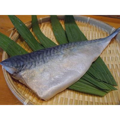 ふるさと納税 焼津市 しめ鯖3枚セット 焼津小川港水揚げ 肉厚 珍味 さばの子煮付け(a10-1121) |  | 01