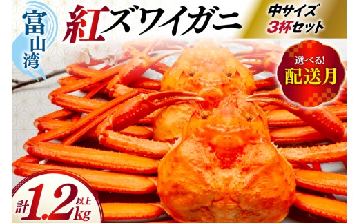 【3月配送】 カニ ベニズワイ 冷凍便 中サイズ 3杯 総計1.2kg以上 [聖徳丸 富山県 朝日町 34310501-3m] 紅ズワイガニ ベニズワイガニ 紅ずわいがに