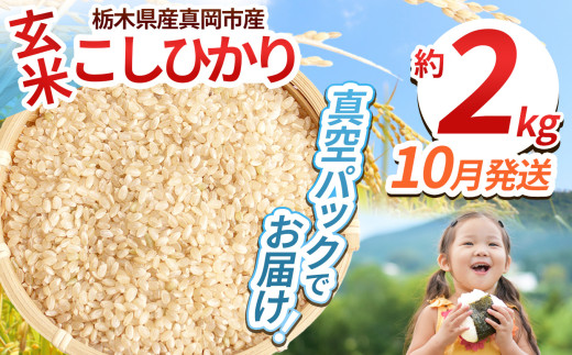 【先行予約】【令和7年度新米】【毎月500個限定！】 栃木県産こしひかり 2kg（玄米真空パック）10月分 | 新米 こしひかり 玄米 米 ごはん  冷めてもおいしい ふるさと納税 那珂川町 栃木県
