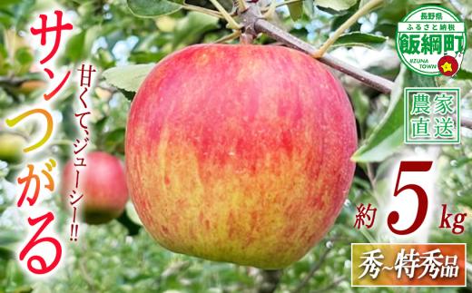 りんご サンつがる 秀 〜 特秀 5kg 若林農園 沖縄県への配送不可 2026年8月下旬頃から2026年9月上旬頃まで順次発送予定 令和8年度収穫分 信州 果物 フルーツ リンゴ 林檎 長野 予約 農家直送 長野県 飯綱町 [2121]