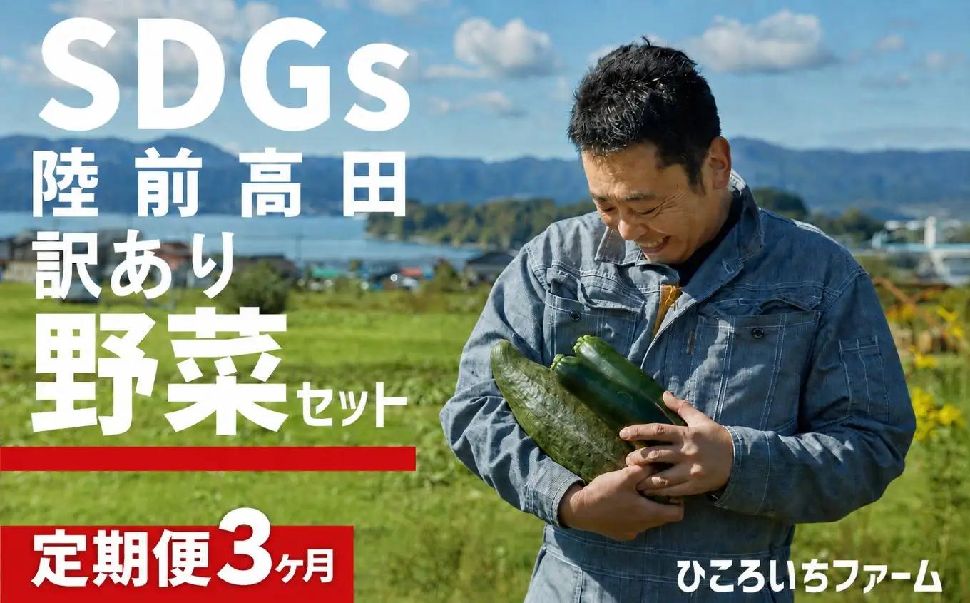 【定期便3ヶ月】農家のおすそわけ（訳アリ）野菜便【 農家 野菜詰め合わせ 野菜 詰め合わせ セット 訳あり 】RT3404