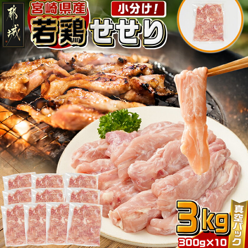 【ふるさと納税】宮崎県産若鶏せせり3kg - 宮崎県産若鶏 せせり 小肉 真空パック 300g×10 真空冷凍 若鶏のせせり 炭火焼 唐揚げ 焼肉 炒め料理 送料無料 MJ-M603 【宮崎県都城市は2年連続ふるさと納税日本一！】