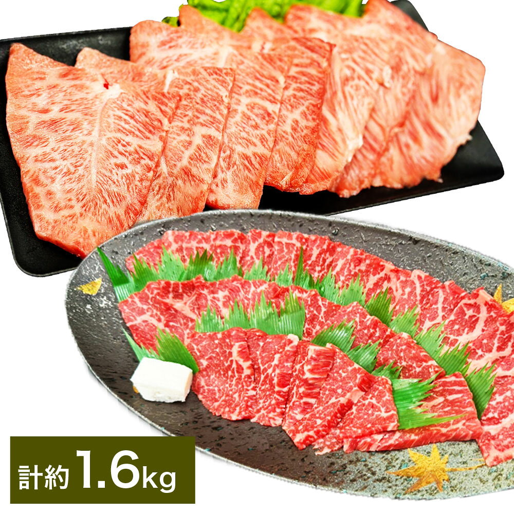 【ふるさと納税】【赤身VSミスジ食べ比べ！】おおいた和牛 赤身焼肉・ミスジ焼肉 セット 各約800g（約400g×2） 計約1.6kg 和牛 牛肉 お肉 モモ ウデ みすじ 希少部位 焼き肉 冷凍 大分県産 国産 大分県 竹田市 送料無料