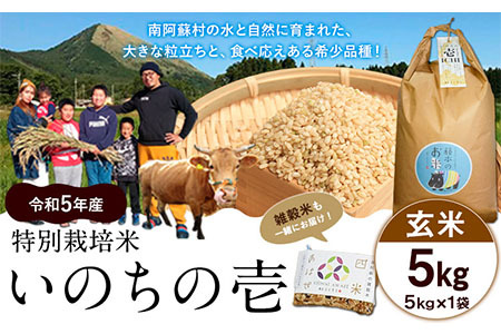 新米 令和6年産 特別栽培米 いのちの壱(玄米)5kg×1 雑穀米付き《90日以内に出荷予定(土日祝除く)》 熊本県 南阿蘇村 熊本県産 虹色のかば 雑穀米