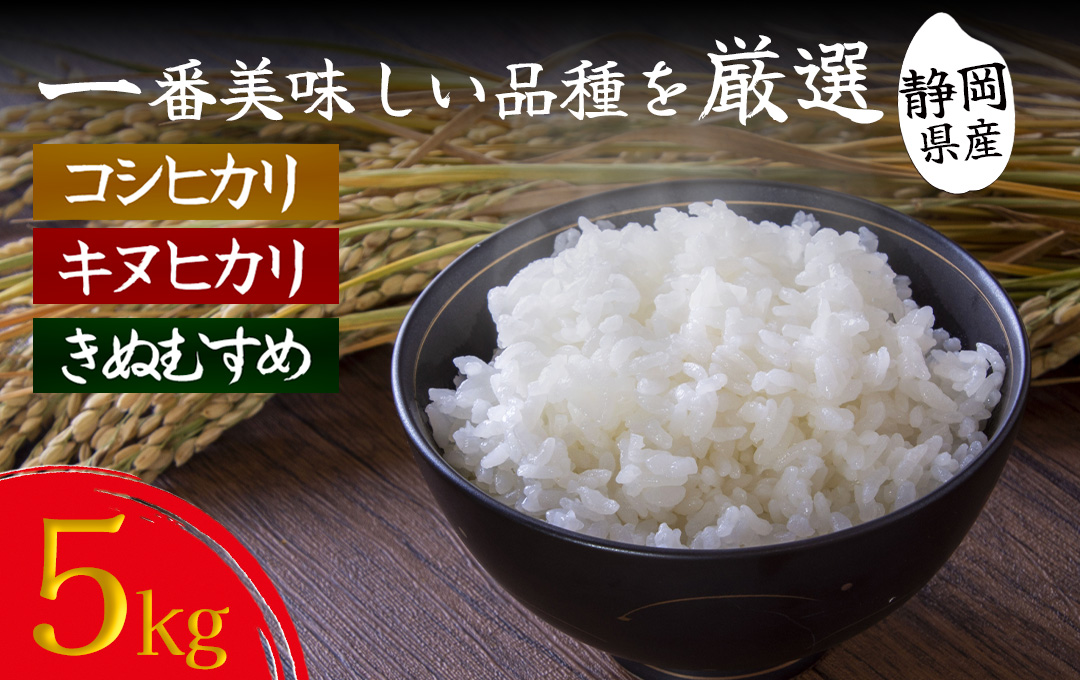 湯の花　南伊豆産新米 5kg　 【 米 お米 ご飯 ライス ふるさと納税米 食品 人気 おすすめ ギフト 産地直送 5キロ お弁当 おにぎり コシヒカリ キヌヒカリ きぬむすめ 】　<BC-18>