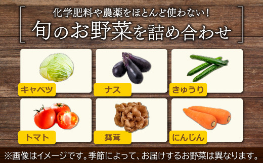 化学肥料や農薬をほとんど使用しない！旬のお野菜の詰め合わせです♪
※季節によって、お届けするお野菜は異なります。