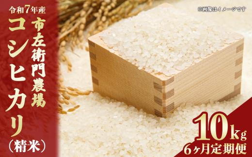 【 6ヵ月 定期便 】令和7年産 コシヒカリ10kg │ 米 こめ こしひかり ご飯 白米 精米 10キロ 2025年産 茨城県産 茨城県 つくば市