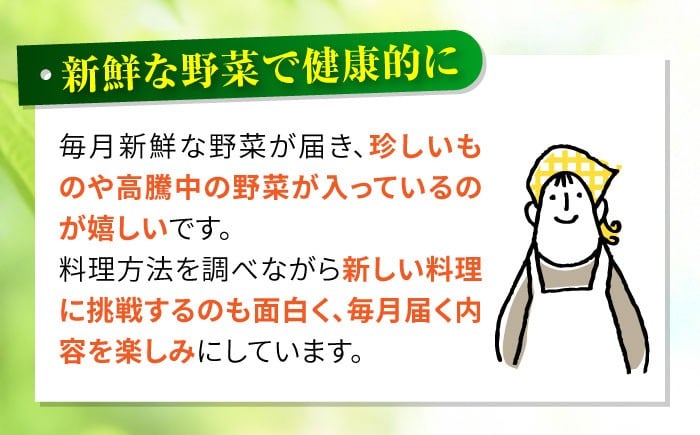 野菜 フルーツ 果物 定期便 旬 新鮮 詰合せ 野菜セット フルーツ定期便