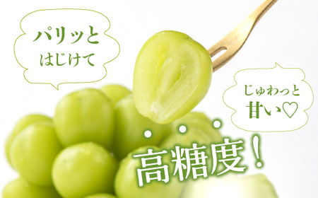 ＜2024年先行予約＞厳選！山梨県笛吹市産 シャインマスカット 約700g（1房） 156-005