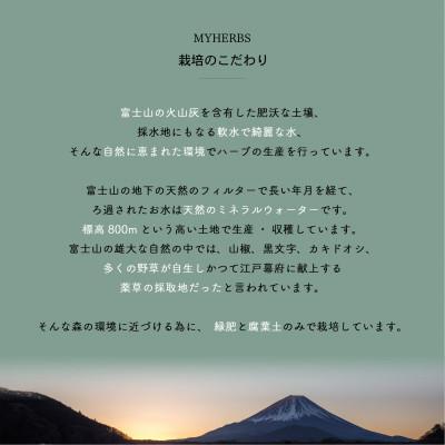 ふるさと納税 富士吉田市 ハーブティーセット(ミント&レモン・シトラス&カモミール)ティーバッグ　20個×2種 |  | 02