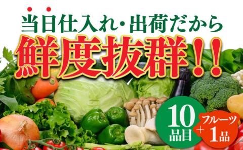 長崎ちゃんぽん 8人前 野菜 10品目 果物1品目 セット / 生麺 ちゃんぽん 具入り 南島原市 / 贅沢宝庫 [SDZ001]