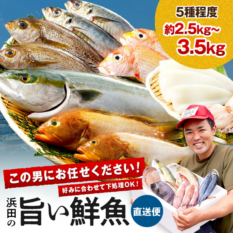 【ふるさと納税】この男に任せてみませんか〜浜田の旨い鮮魚直送便〜 海鮮 鮮魚 詰め合わせ セット おまかせ 人気 お取り寄せ 【006_2043】