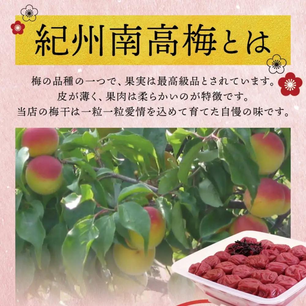 梅干し 紀州南高しそ梅干し 1kg 大粒 ご家庭用【inm210C】