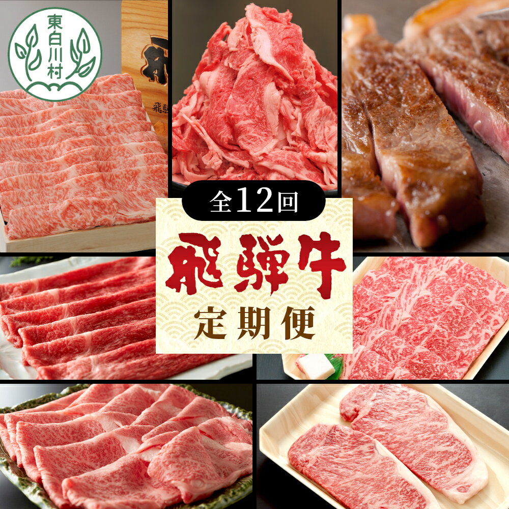 【ふるさと納税】飛騨牛 定期便 全12回 A5等級すき焼き しゃぶしゃぶ ステーキ 焼肉 BBQ ロース カタロース ロースステーキ サーロインステーキ モモ カタ 切り落とし 贅沢 贈り物 12ヶ月 定期 1年 おすすめ 人気 選べる 飛騨 ブランド牛 養老ミート